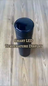500ML Thermos Steel Water Bottle + LED Temperature Display Vacuum Flask
