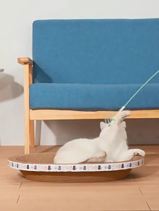 กระดานลับเล็บแมวกระดาษแข็งลูกฟูกอ่างลับเล็บแมวทรงรี ที่นอนแมว ของเล่นแมว อุปกรณ์สำหรับแมวแบบชาม