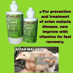 How to Treat Avian Malaria: Effective Tips for Healthy Birds