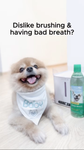 TropiClean Fresh Breath Dental Health Solution (Water Additive) for Dog&Cat | Oral Care 8oz/16oz/1L