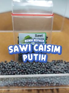Benih Sawi Caisim Putih Unggulan & Kualitas Tinggi Hydroponik