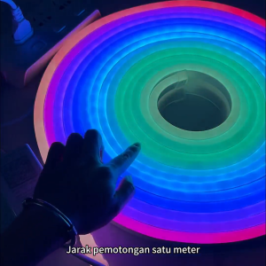 Neon LED Fleksibel 3-20M RGB - Remote & App Control Sensor Warna Tahan Air IP65 24V - Toko/Outdoor