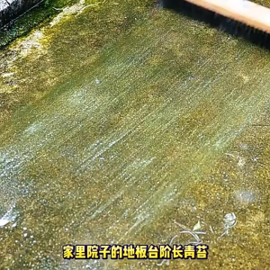 ทนทาน 10 ปี แปรงขัดพื้น แปรงลวดขัดพื้น แปรงลวดสเตนเลส ด้ด้ามจับยืดไสลด์สแตนเลสหนา ไม่ต้องก้ม สําหรับทําความสะอาดพื้น ในร่ม กลางแจ้ง