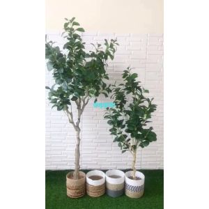 Tanaman Hias Pohon Artificial Kacang T130 & T170 Latex Cover Pot Seagrass Variasi Dekorasi Rumah