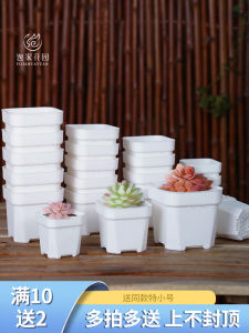 Thickened Plastic Flower Pots for Succulents Mini Black And White Square Frosted Breathable