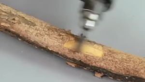 Wood Carving Rasp Drill Bits 1/4 Shank Rotary Files Woodworking Burrs Grinding Tool Cutting Engraving Deburring Shaping Grooving