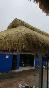 【ส่งจากไทย】(ยกม้วนถูกที่สุด!) แฝกเทียม ยาว10เมตร . แฝกมุงหลังคา หญ้าแฝก หลังคาหญ้าเทียม ฟางเทียม แฝกเนื้อเหนียว กัน UV หลังคากันแดด