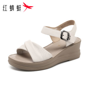 Reddragonfly | Anti-slip Comfortable Sandals Slippers for Middle-aged and Elderly Women