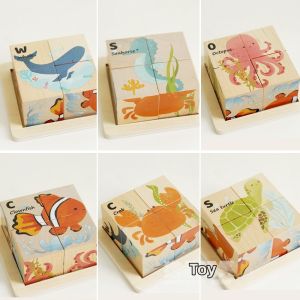 Fine Motor Skills Development Wooden Toy Shape Recognition Matching