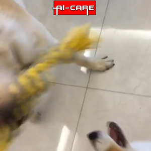 40CM Pet Toys 6 Knot Cotton Rope Pet Toys Bite Resistant Large Dog Toys Molar Rope Teeth Cleaning