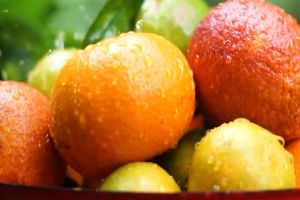 Fresh Small Tangerine 5pcs