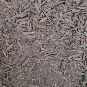 ทำให้ดินร่วมและพืชเจริญเติบโตรวด