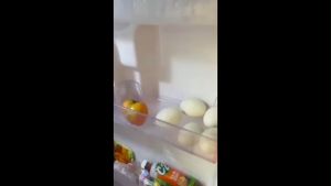 Hộp đựng trứng 2 tầng - Khay đựng trứng 2 tầng đa năng