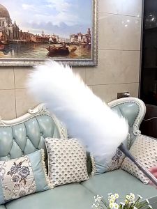 Chổi lông vũ ECOCO tĩnh điện thế hệ mới Chổi phủi bụi làm sạch gầm giường tủ có thể thu gọn đa năng 23131