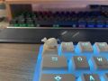 Custom keycap, keycap lẻ xinh giá rẻ cực cute dễ thương. 