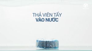 Bồn cầu ố vàng bốc mùi hôi? Viên tẩy tự động làm sach Blueshot Hàn Quốc (Bộ 12 Viên)