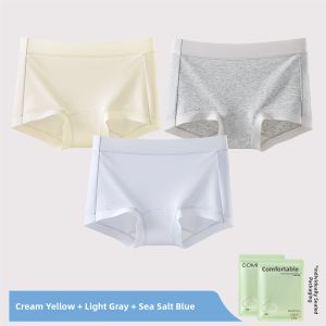 Baisina | Antibacterial Seamless Thin Summer Womens Underwear