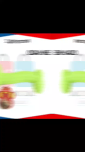 GIFT FOR  Pet bone  TOY Dog play bite EM-1420