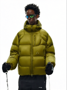 FPA | High FP 95 White Duck Down Transparent Shimmer Hooded Down Jacket