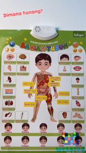 HAHA TOY Early Learning Bahasa Indonesia Poster Dinding Poster Pendidikan awal Dengan Audio