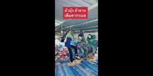 มูกคาม ผ้าแยงเขียว ขนาด 2.5ม. X 30หลา ตา16 ตราเรือใบ (ผ้าไทย) หนา ทนทาน ไม่กรอบ เหมาะสมกับข้าว กับกระดูกแมลง