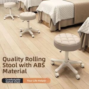 Rotating and Adjustable Salon Stool