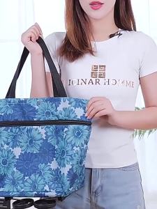 Foldable Oxford Cloth Trolley