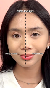 FEMME || Hanasui Perfect Cover Concealer - Liquid Concealer Perfect Coverage Creaseless Blur Skin in 1 Swatch Ringan & Buildable