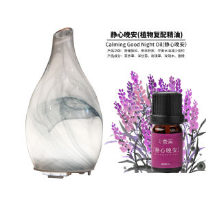 Home Use Ultrasonic Aromatherapy Lamp Bedroom Humidifier Silent Essential Oil Lamp Professional Diffuser Spray Lamp Plug in