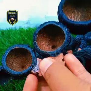Cepuk Unik Alami: Pakan & Minum Burung Pleci, Sogon, Kolibri, & Ciblek