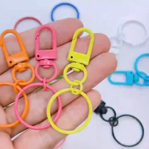 Manilago 5pcs Keychain Lobster Buckle With Snap Ring Flat Ring Painted Spray Painted Spring Keychain