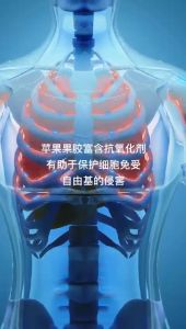 李娜推荐柏沛乐Propectin 医药级苹果果胶【正品】