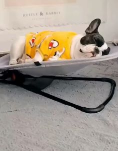 【Free Gift】เก้าอี้โยกสัตว์เลี้ยง เปลเเมว ระบายอากาศ ที่นอนสูงสุนัข แผ่นรองนอน ปรับแต่งได้