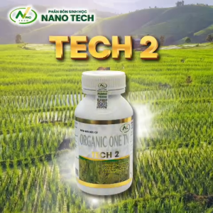 TECH 2 – Phân bón sinh học kích đòng to bông bự tăng số lượng hạt trên bông trổ nhanh – trổ thoát