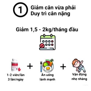 Gueva CANADA giảm cân an toàn giảm mỡ bụng hạ mỡ máu (15 ngày) Hộp 30-60 viên