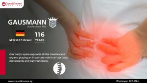 GAUSMANN GUNTHE 12" SPINAL COMFORT CARE NATURAL LATEX COOLING MATTRESS