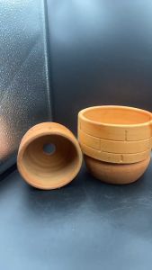 กระถางดินเผา กระถางแคคตัส