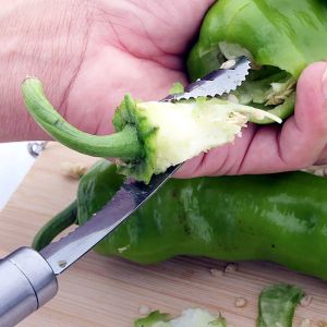 1Pcs Vegetable Fruit Coring Tool Pepper Tomato Slicer Edge Corers Stainless Steel Kitchen Gadgets