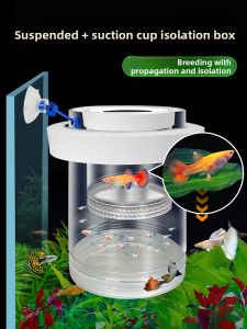 MONLEYTA | Breeding Isolation Box for Guppy Fish
