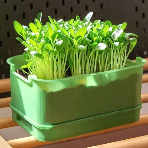 ถาดเพาะต้นกล้าพลาสติกแบบพิเศษ / อุปกรณ์ทำสวน / ถาดเพาะต้นกล้าแบบไม่ใช้ดิน / กระถางเพาะถั่วงอกระบายอากาศ