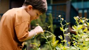 Vòng Tay Chống Muỗi đuổi côn trùng Zoyzoii Magic DIY Essential Oil Bracelet vòng tay tinh dầu