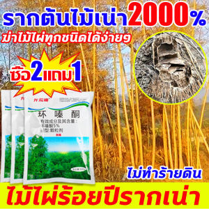 💥รากเน่ารากตายไม่งอกขึ้นอีก💥ผงกำจัดกอไผ่ สารกำจัดก่อไผ่ 500g ผงกำจัดต้นไม้ สูตรเข้มข้น รากเน่าทันที ยาฆ่าต้นไม้ใหญ ยาฆ่าตอต้นไม้ ไม่ทำลายดิน เร็ว ติดทนนาน ยากำจัดต้นไม้ใหญ่ บอกลาการตัดต้นไม้ด้วยตัวเอง ยากำจัดวัชพืช ยาฆ่าไม้ไผ่ ยาฆ่าต้นไม้ ยาฆ่าตอไม้
