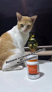 PUAINTA Multivitamin Tablet for Dogs and Cats Vitamin Supplement Tablets Cat Hair Loss Vitamins Beautify Fluffy Supplement