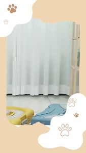 ✅[SG] MISS COLLAPSIBLE CRATE ★ Crate Training ★ FREE Training e-Guide Worth $7 ★ Enrichment ★ SG Stock ★ Kopi Lobang