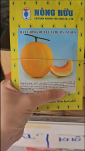 (Gói 10 gram) Hạt Giống Dưa Lê F1 RUBY (VE049) NÔNG HỮU - Trái tròn đều ngọt thanh giòn