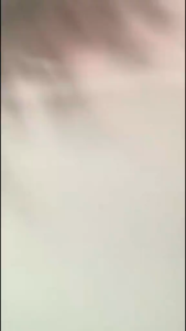 Bulu Mata Elise - Classic 4425 - Bulu Mata Natural/Daily Look/Cocok untuk Pemula