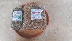 Cỏ sữa lá to sấy khô [1kg] TẶNG [100g] cỏ ngọt - thanh nhiệt giải độc mát gan