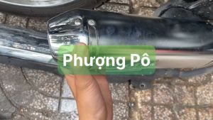 ⚡️FREESHIP⚡️ Lon pô tăng cho xe max 2 3 4 (có tiêu tháo đuôi lon)