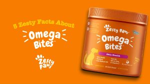 Zesty Paws Skin & Coat Bites for Dogs Skin & Coat - Chicken Flavor (90 Soft Chews) (EXP:11 2026)