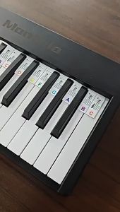 Stiker Tuts Piano Keyboard Silikon Label Note Melodia Untuk Belajar Piano